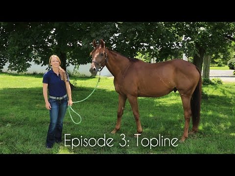 Evention Tv Season 3: Episode 3 "Topline"