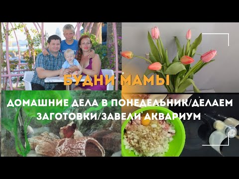 Будни мамы/домашние дела в понедельник/делаем заготовки/завели аквариум