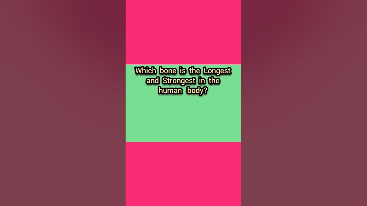 Which bone is the longest and strongest in the human body shorts 