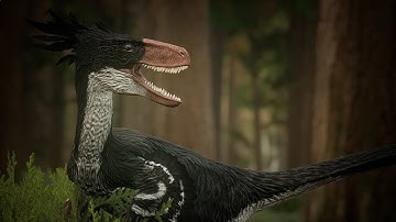 TNC | Semi-Realism Teaser Trailer