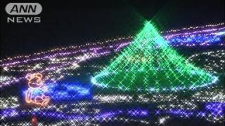 東京・昭和記念公園でクリスマスイルミネーション（11/12/04）