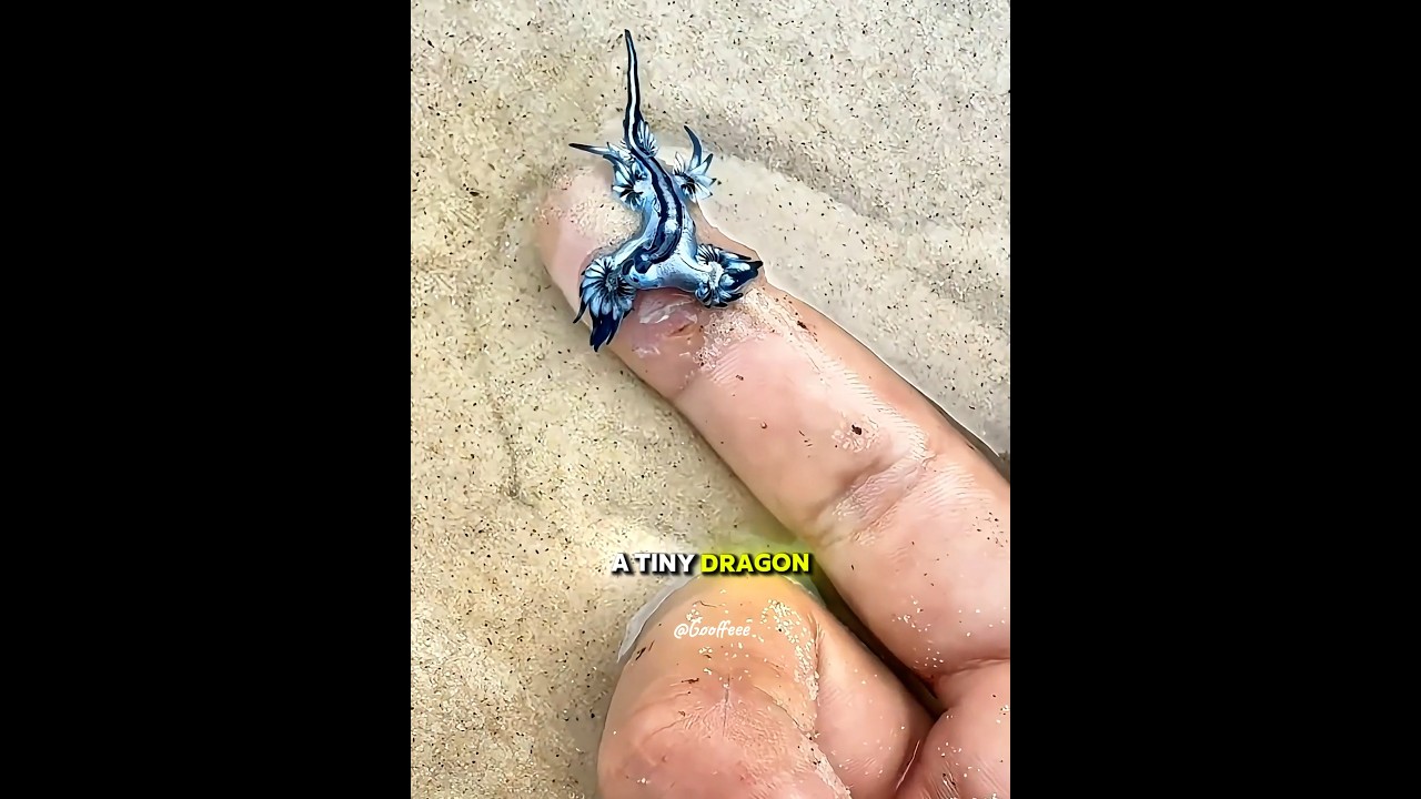 Он обнаружил странное существо ❤️