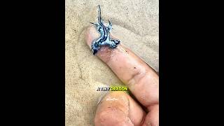 He Found Strange Creature