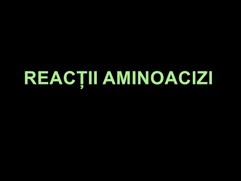 Video: Poroza Coroidă LAT2 și SNAT3 Ca Parteneri în întreținerea Homeostazei Cu Aminoacizi CSF