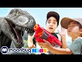 Sleepy Time With the Dinosaurs | Dinosaur Videos for Kids!