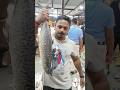 Surmai  food reels seafood fishing surmaifish sagarpatil728 sdp