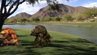 Trolls - Creatures Fx