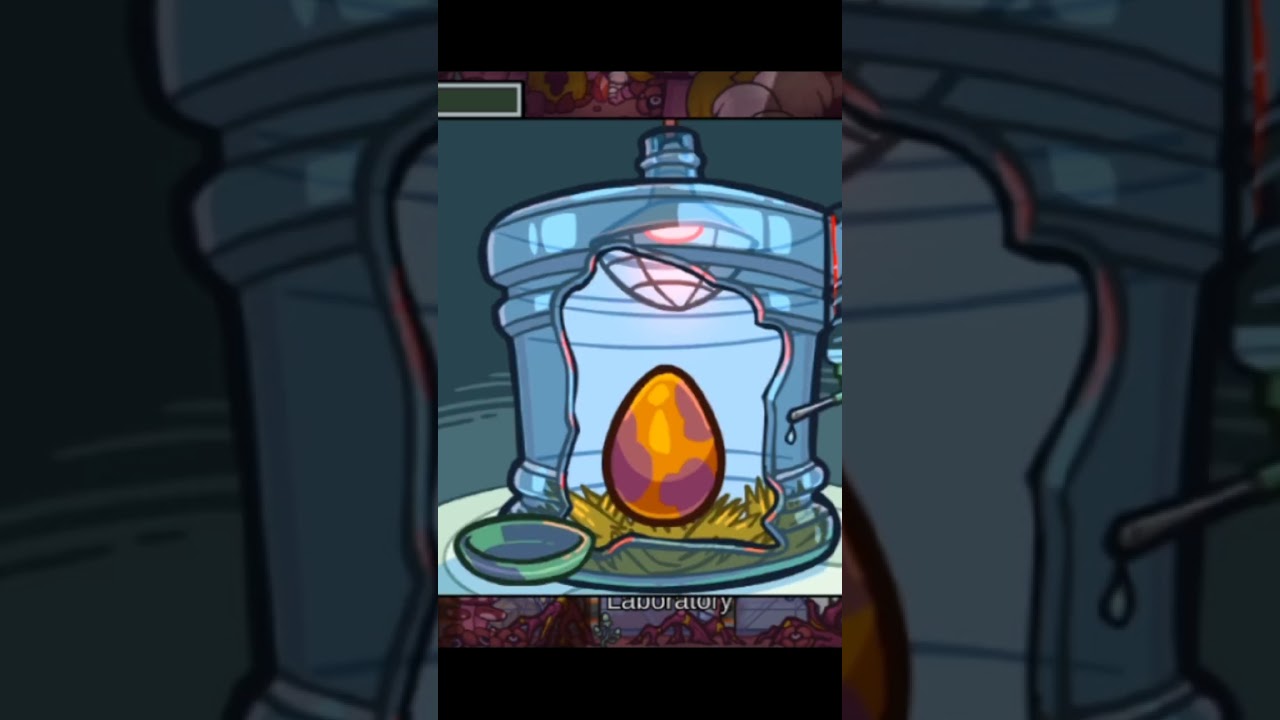 Sguig pet origin story 