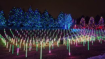 Denver Botanic Garden Christmas Light Show