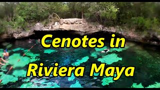 Cenotes in The Riviera Maya