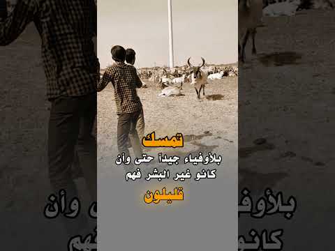 تمسك بلاوفياء حتى وان كانو من غير البشر