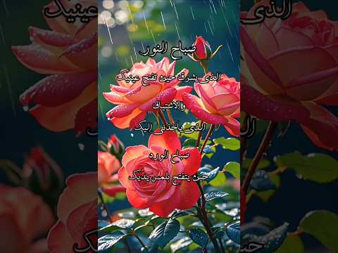 صباح النور صباح الخير رسائل حب قصيرة كلام حب رومانسي حبيبتي حبيبي حب