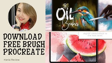 Tải FREE brush Procreate ở đâu? @haniareview6846 chia sẻ cách tải và add brush trong Procreate