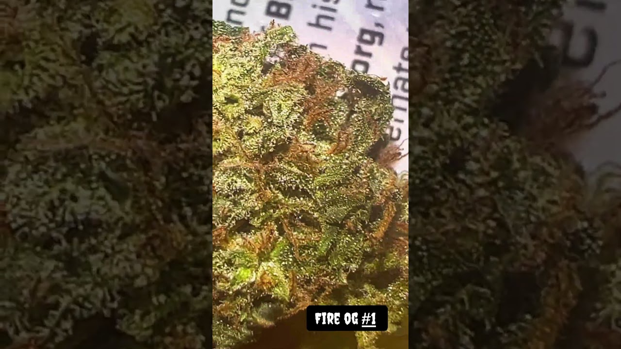 Fire OG 1
