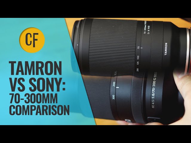 ♥︎◇近くから遠くまでOK♪ ◇Tamron 28-300mm ソニー カメラレンズ 28-300mm F/4-7.1 Di III VC VXD（Model A074S） [ソニー