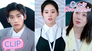 Cute Programmer 19 | Is it true that Lu Li's code was removed by his ex girlfriend?|