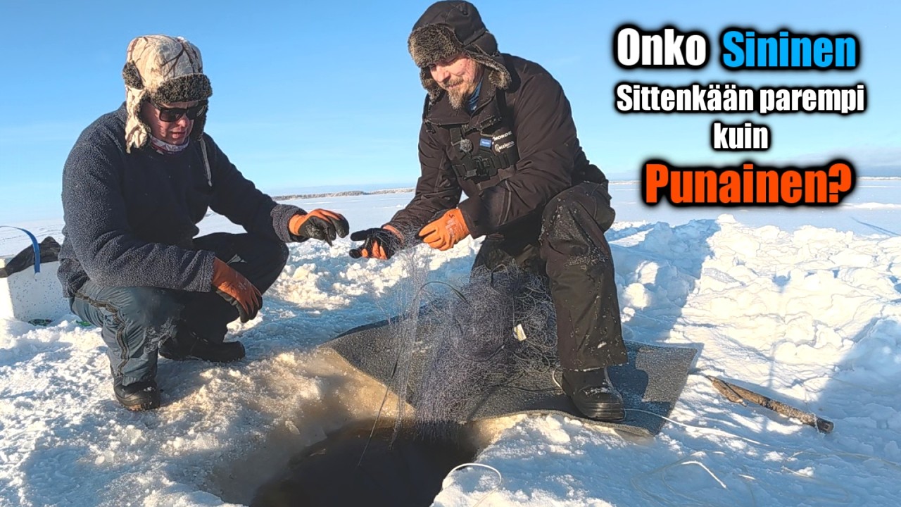 Talviverkoilla 5/2026 Hyvä saalis