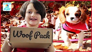 Our Puppy Opens Woof Pack Subscription Box for Dogs