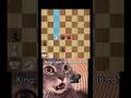 TOP CHESS TRAP - SACRIFICE THE ROOK‼️ #chess #chessgame #chesscom