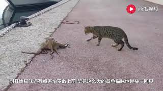 贷款,贷款平台,无抵押贷款,贷款马来西亚,贷款app,贷款计算,贷款英文,贷款利率,私人贷款,贷款新加坡,贷款公司