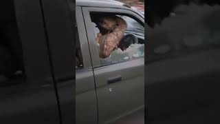 Stan Army Under Attack By Pti Protesters 9 May 2023