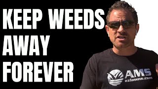What To Buy To Keep Weeds Away Forever - DIY