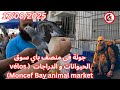 جولة في منصف باي سوق الحيوانات و الدراجات 17 08 2025 Vélos Moncef Bay Animal Market 