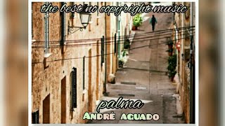 palma-André aguado  (soft house)