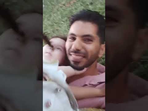 بس بس انا واحد بس حكيم