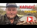 ХАРИУС НА СПИННИНГ. Иду в тундру на две ночёвки / Fishing for grayling