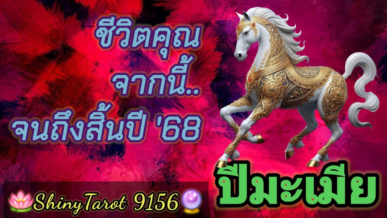 ปีมะเมีย🐎ชีวิตคุณจากนี้..จนถึงสิ้นปี '68 (นับจากวันที่ฟังคลิป)🪔@ShinyTarot9159🔮
