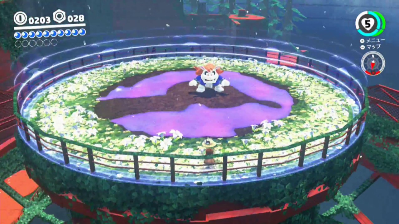 マリオデ】森の国 スチームガーデン - スーパーマリオ オデッセイ 攻略Wiki：ヘイグ