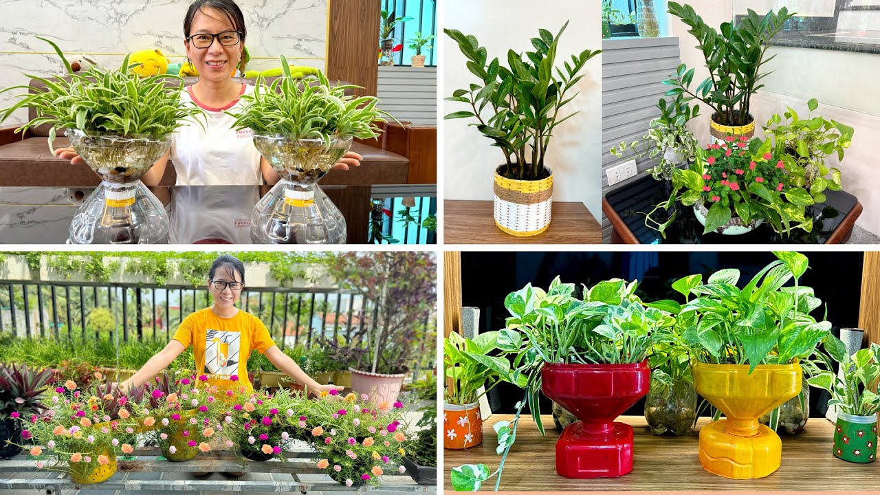 Расслабьтесь с уникальными комнатными растениями, простые идеи переработки пластиковых бутылок