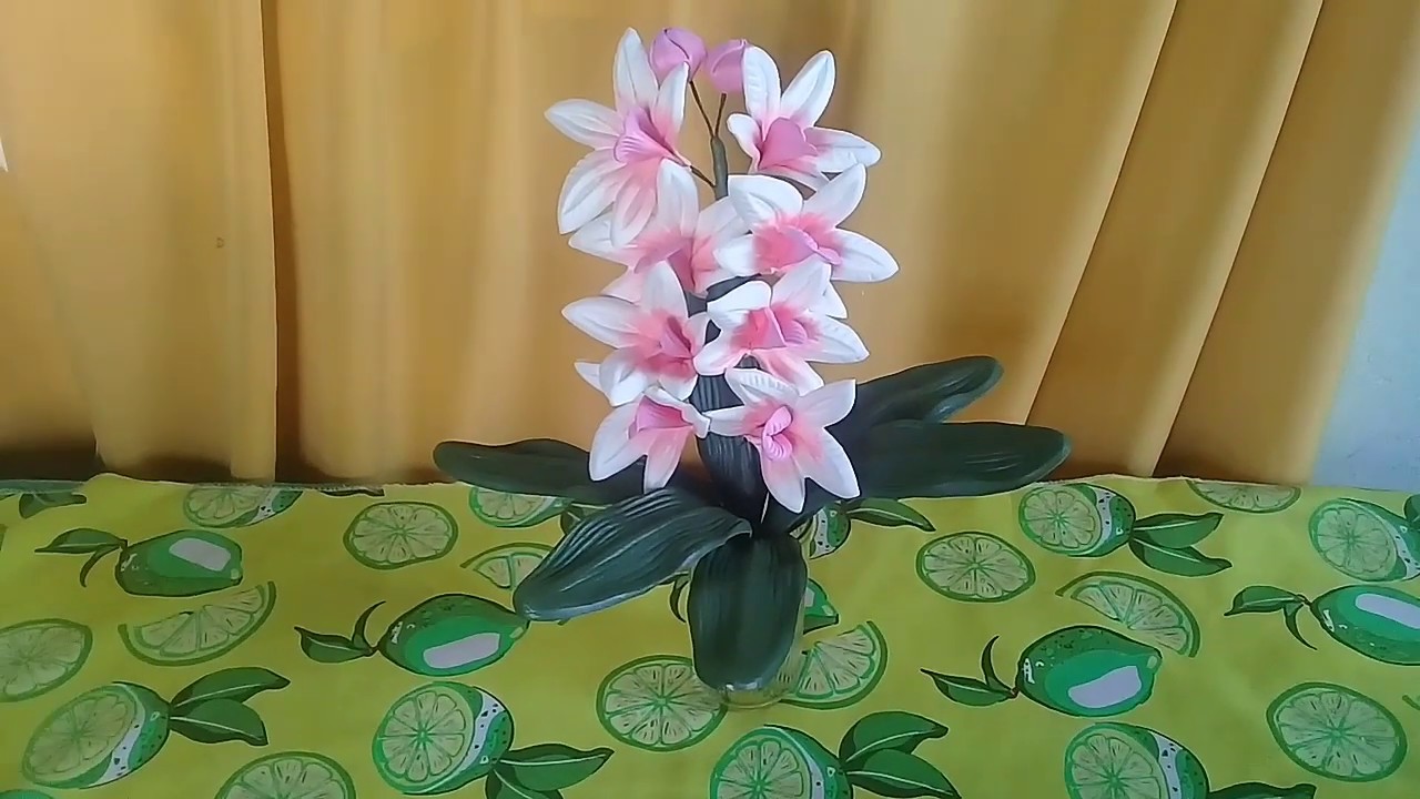 Orquídea em eva