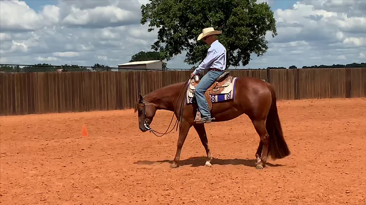 Machine Made Crystal-2016 mare by Machine Made X C...