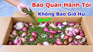 MP 1053 How to store onions and garlic screenshot 5