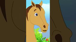 Saddle of Wood | Kids Riding The Horse @ZingyKidz