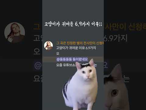 고양이가 귀여운 6.9가지 이유;;;
