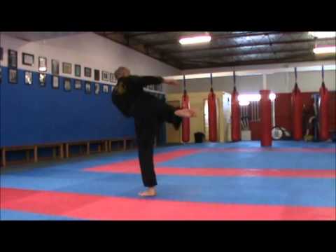 Jumping Back Thrust Kick - Jumping Back Thrust Kick