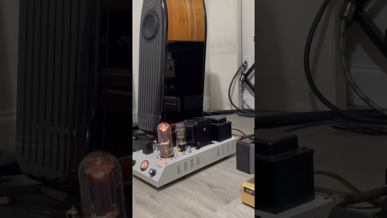 Raphaelite csm45 mono SET amplifier in action 🎬💥💪🏼😁👽