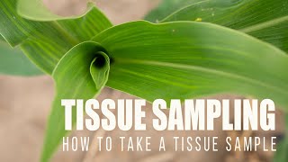 Diving Into Tissue Sampling - How, When and Where