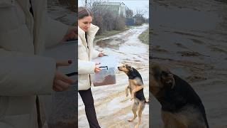 He stood up like a human… because he was so hungry