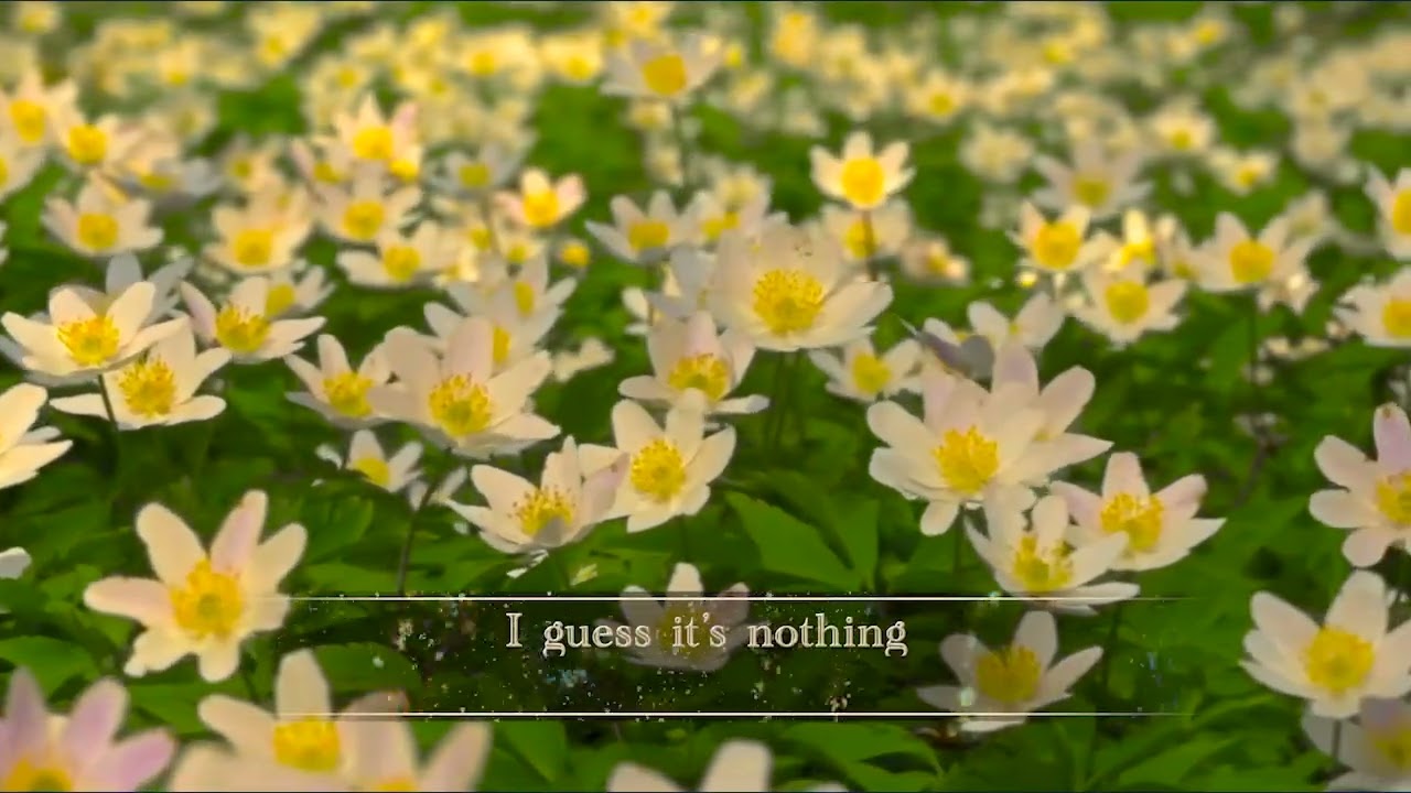 Tarrah- WHY? (LYRIC VIDEO)