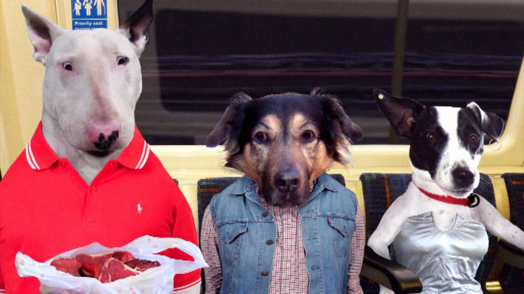 Dog Judo - Judo Tubing animated spider man