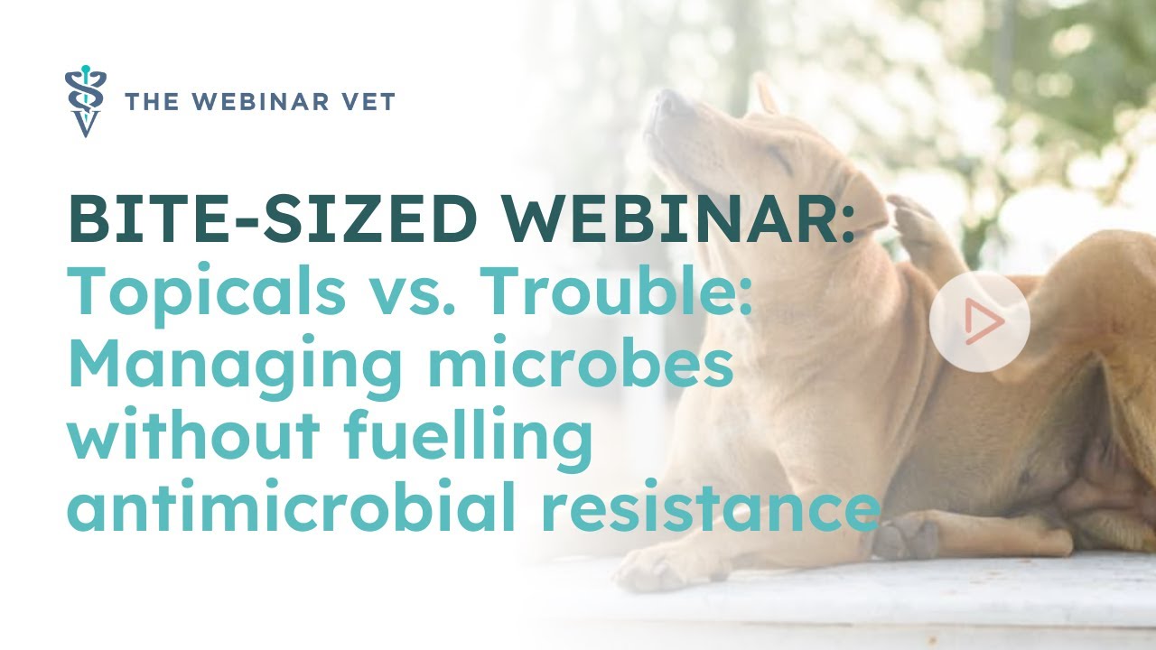 Краткий обзор вебинара: Местные средства против проблем: борьба с микробами без развития антимикр...