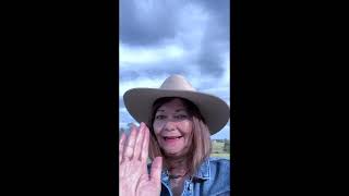 De Zon In Zijn Ogen Nu Op Amazon Us, Ca, Au