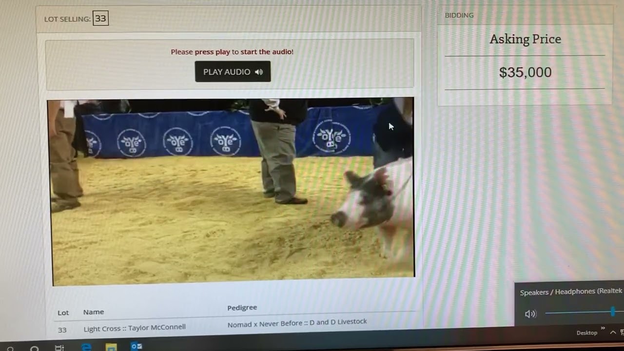 2021 OYE Gilt Sale- Dron Gilt (32,000)