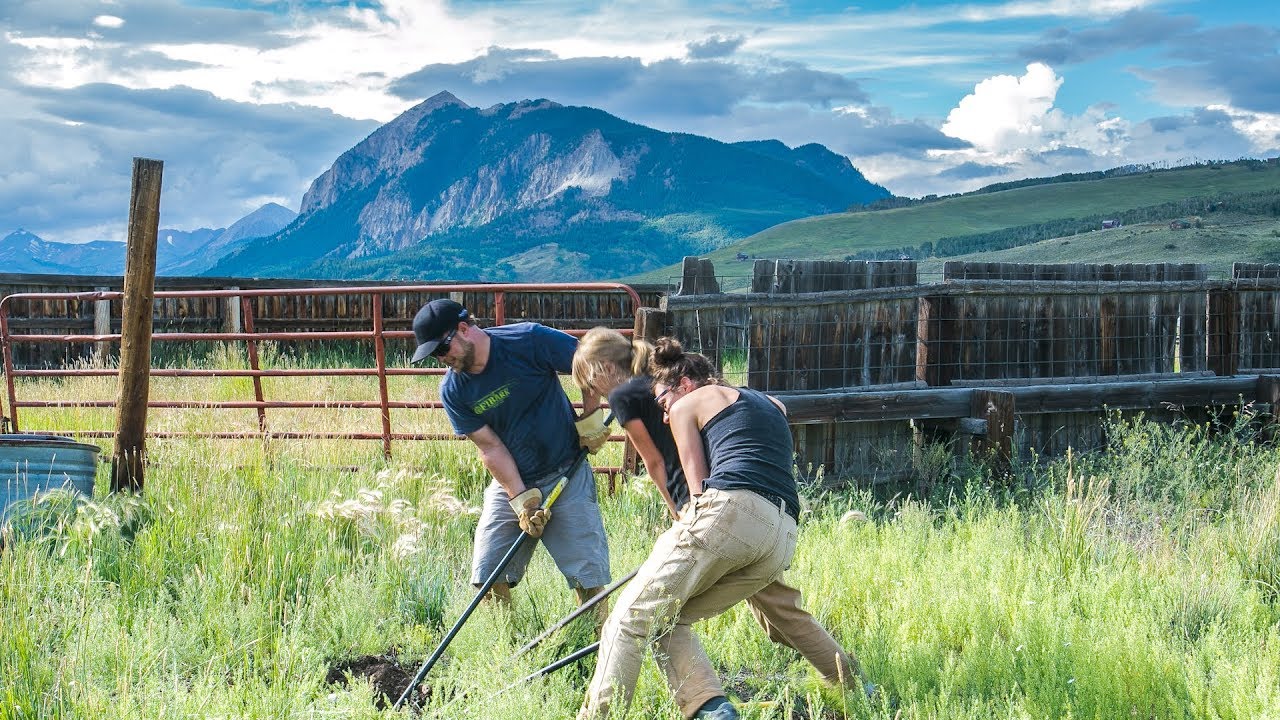 Welcome to the Masters in Environmental Management | Western Colorado University