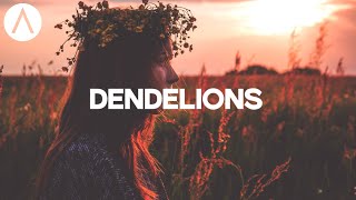 Dendelions - Ruth B - Aesthetic Music Lyrics