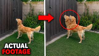 1 Hour of The Most BIZARRE Glitches in the Matrix Caught on Camera